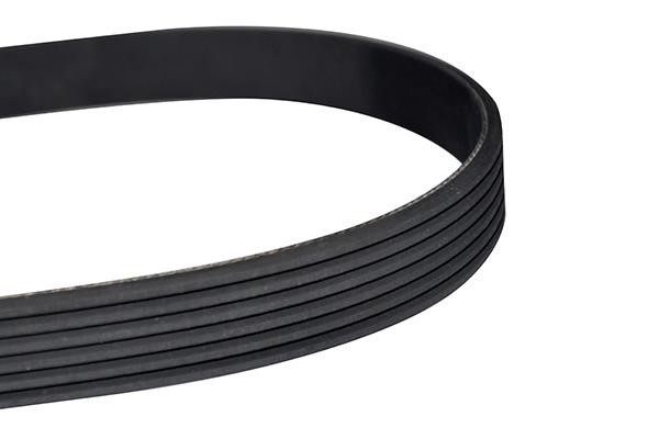 WXQP 10895 V-Ribbed Belt 10895: Buy near me in Poland at 2407.PL - Good price!