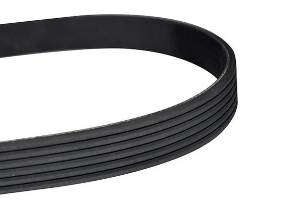 WXQP 10859 V-Ribbed Belt 10859: Buy near me in Poland at 2407.PL - Good price!