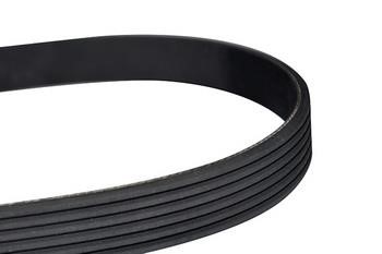 WXQP 10789 V-Ribbed Belt 10789: Buy near me in Poland at 2407.PL - Good price!