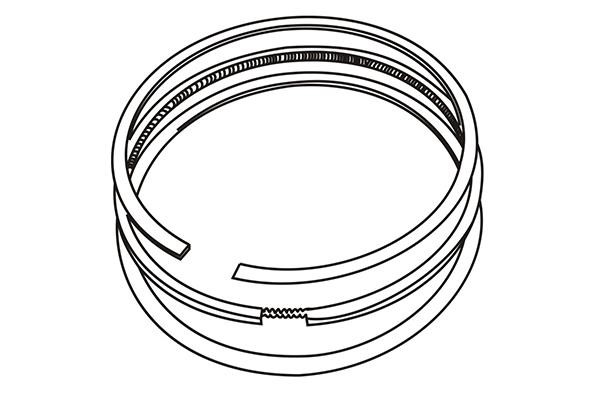 WXQP 110295 Кольца поршневые 110295: Купить в Польше - Отличная цена на 2407.PL!