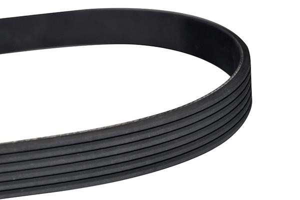 WXQP 10820 V-Ribbed Belt 10820: Buy near me in Poland at 2407.PL - Good price!