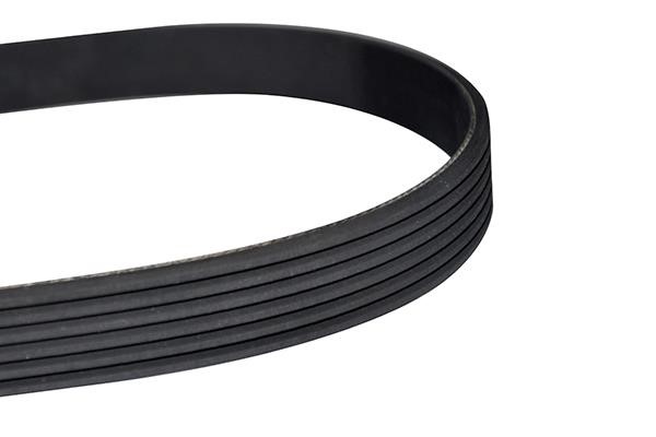 WXQP 10872 V-Ribbed Belt 10872: Buy near me in Poland at 2407.PL - Good price!