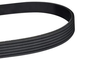 WXQP 11565 V-Ribbed Belt 11565: Buy near me in Poland at 2407.PL - Good price!