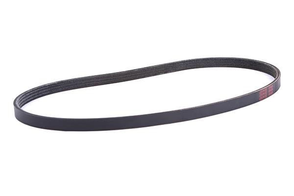 WXQP 11761 V-Ribbed Belt 11761: Buy near me in Poland at 2407.PL - Good price!