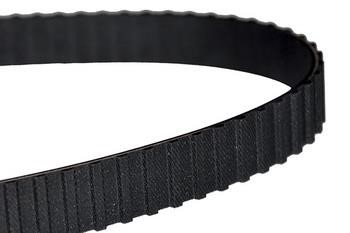 WXQP 10942 Timing belt 10942: Buy near me in Poland at 2407.PL - Good price!