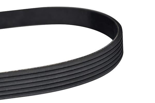 WXQP 10839 V-Ribbed Belt 10839: Buy near me in Poland at 2407.PL - Good price!
