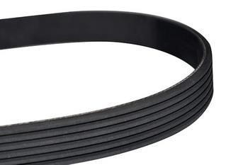 WXQP 10785 V-Ribbed Belt 10785: Buy near me in Poland at 2407.PL - Good price!