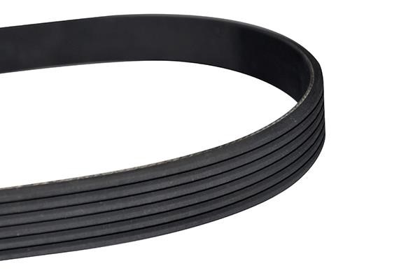 WXQP 10889 V-Ribbed Belt 10889: Buy near me in Poland at 2407.PL - Good price!