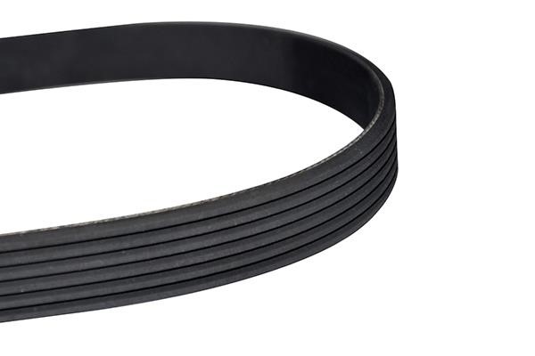 WXQP 10864 V-Ribbed Belt 10864: Buy near me in Poland at 2407.PL - Good price!