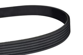 WXQP 10848 V-Ribbed Belt 10848: Buy near me in Poland at 2407.PL - Good price!