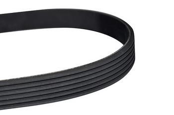 WXQP 10765 V-Ribbed Belt 10765: Buy near me in Poland at 2407.PL - Good price!