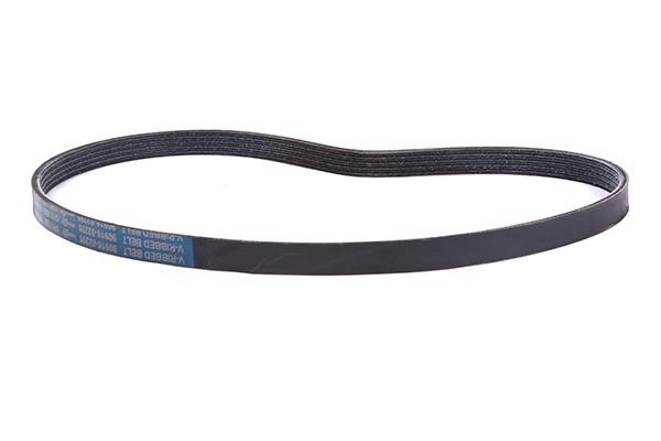 WXQP 11753 V-Ribbed Belt 11753: Buy near me in Poland at 2407.PL - Good price!