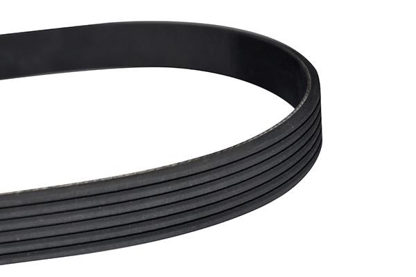 WXQP 10891 V-Ribbed Belt 10891: Buy near me in Poland at 2407.PL - Good price!