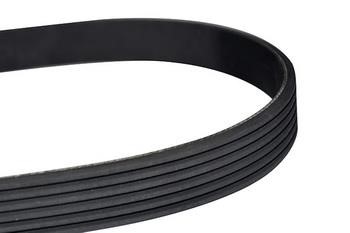 WXQP 10814 V-Ribbed Belt 10814: Buy near me in Poland at 2407.PL - Good price!