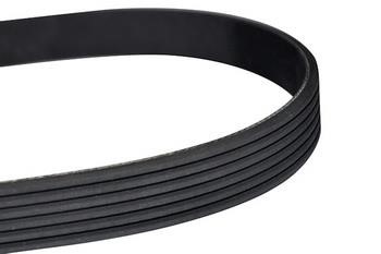 WXQP 10766 V-Ribbed Belt 10766: Buy near me in Poland at 2407.PL - Good price!