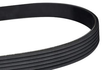 WXQP 10858 V-Ribbed Belt 10858: Buy near me in Poland at 2407.PL - Good price!