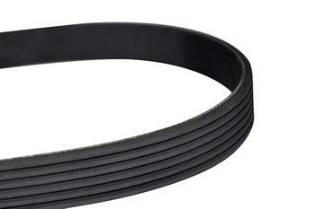 WXQP 10799 V-Ribbed Belt 10799: Buy near me in Poland at 2407.PL - Good price!