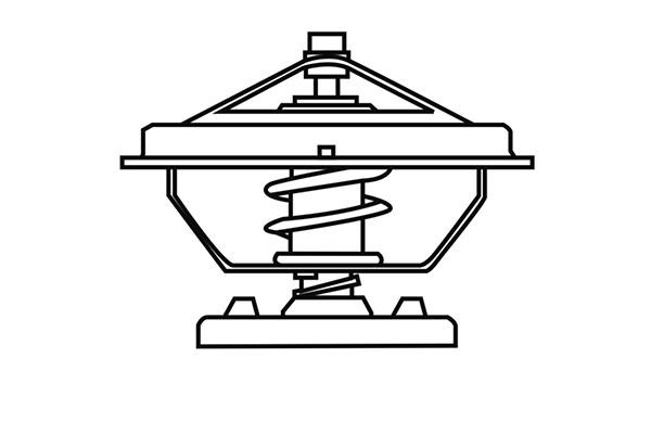 WXQP 220053 Thermostat, coolant 220053: Buy near me in Poland at 2407.PL - Good price!