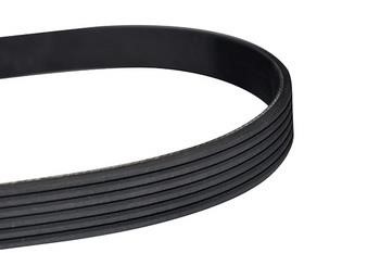 WXQP 11564 V-Ribbed Belt 11564: Buy near me in Poland at 2407.PL - Good price!