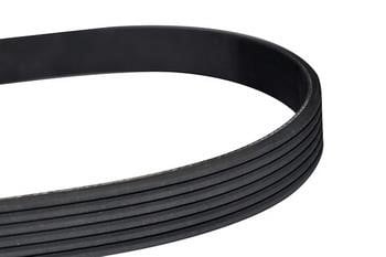 WXQP 10780 V-Ribbed Belt 10780: Buy near me in Poland at 2407.PL - Good price!