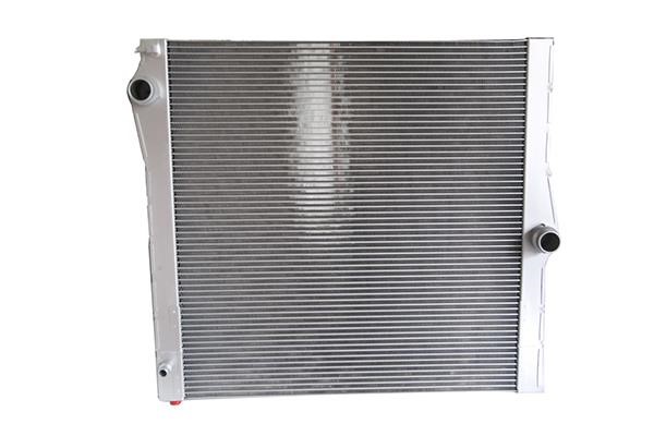 WXQP 220589 Radiator, engine cooling 220589: Buy near me in Poland at 2407.PL - Good price!