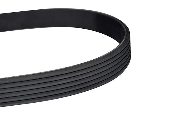 WXQP 10896 V-Ribbed Belt 10896: Buy near me in Poland at 2407.PL - Good price!