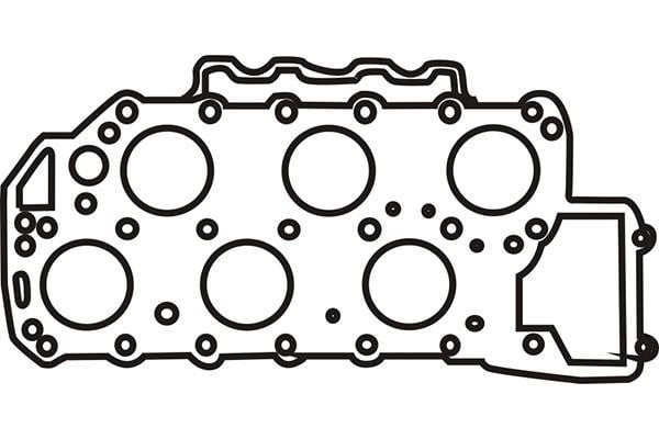 WXQP 313909 Gasket, cylinder head 313909: Buy near me in Poland at 2407.PL - Good price!