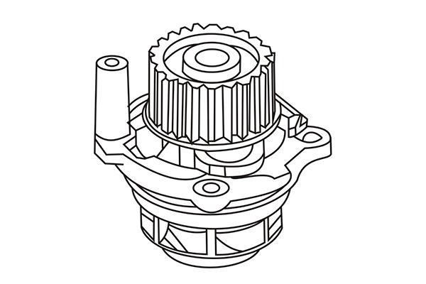 WXQP 321427 Water pump 321427: Buy near me at 2407.PL in Poland at an Affordable price!