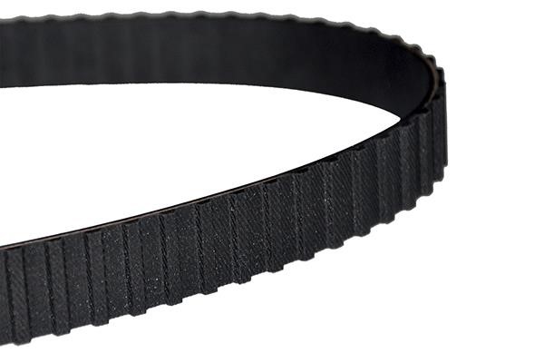 WXQP 10929 Timing belt 10929: Buy near me in Poland at 2407.PL - Good price!