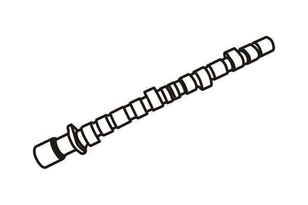 WXQP 150503 Camshaft 150503: Buy near me in Poland at 2407.PL - Good price!
