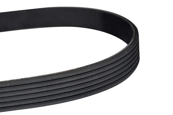 WXQP 10825 V-Ribbed Belt 10825: Buy near me in Poland at 2407.PL - Good price!