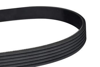 WXQP 10873 V-Ribbed Belt 10873: Buy near me in Poland at 2407.PL - Good price!