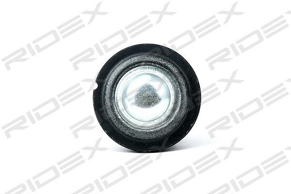 Ridex 2462S0094 Ball joint 2462S0094: Buy near me in Poland at 2407.PL - Good price!