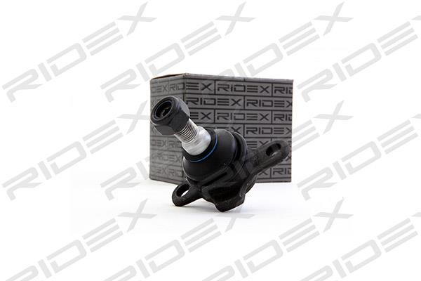 Ridex 2462S0019 Ball joint 2462S0019: Buy near me in Poland at 2407.PL - Good price!