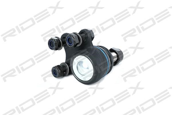 Ridex 2462S0020 Ball joint 2462S0020: Buy near me in Poland at 2407.PL - Good price!