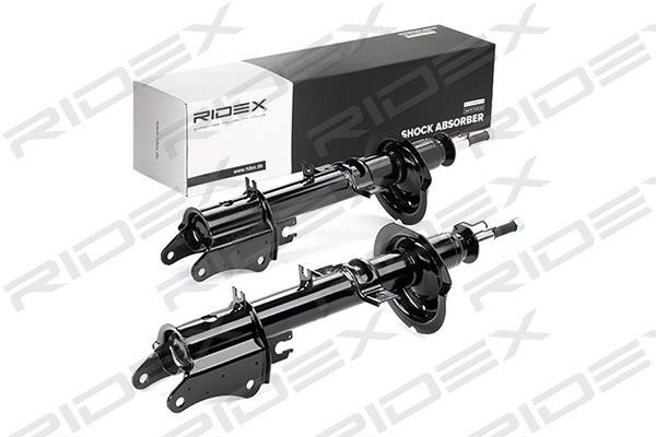 Ridex 854S1719 Rear oil and gas suspension shock absorber 854S1719: Buy near me in Poland at 2407.PL - Good price!