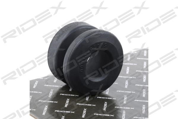 Ridex 251T0191 Control Arm-/Trailing Arm Bush 251T0191: Buy near me at 2407.PL in Poland at an Affordable price!