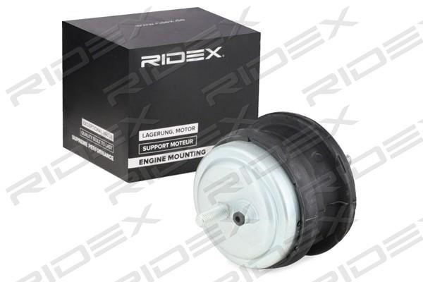Ridex 247E0053 Подушка двигателя 247E0053: Отличная цена - Купить в Польше на 2407.PL!