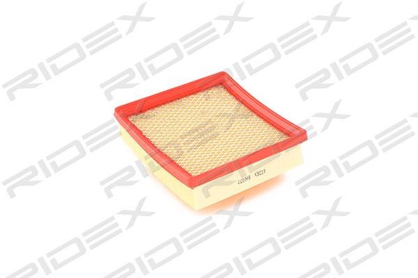 Ridex 8A0077 Air filter 8A0077: Buy near me in Poland at 2407.PL - Good price!