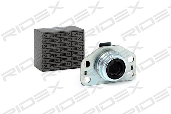 Ridex 247E0024 Engine mount 247E0024: Buy near me in Poland at 2407.PL - Good price!