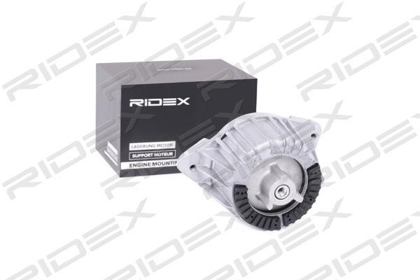 Ridex 247E0108 Motorlager 247E0108: Kaufen Sie zu einem guten Preis in Polen bei 2407.PL!