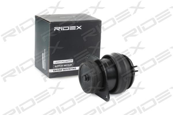 Ridex 247E0201 Подушка двигателя 247E0201: Отличная цена - Купить в Польше на 2407.PL!