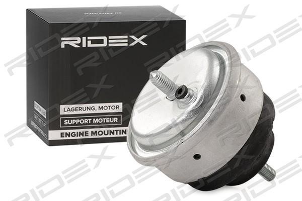Ridex 247E0058 Подушка двигателя 247E0058: Купить в Польше - Отличная цена на 2407.PL!
