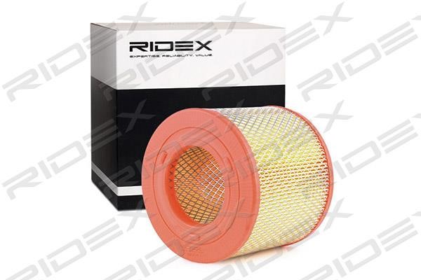 Ridex 8A0541 Воздушный фильтр 8A0541: Отличная цена - Купить в Польше на 2407.PL!