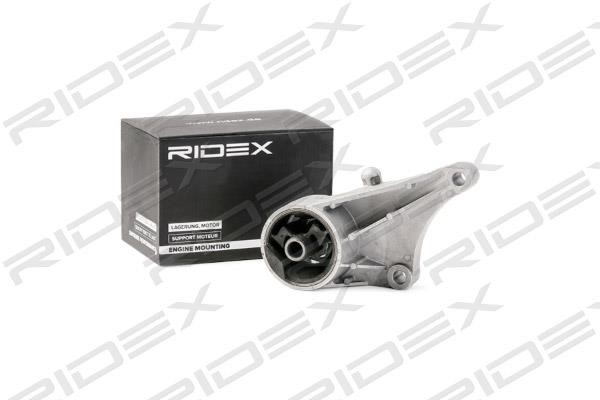 Ridex 247E0089 Подушка двигателя 247E0089: Отличная цена - Купить в Польше на 2407.PL!