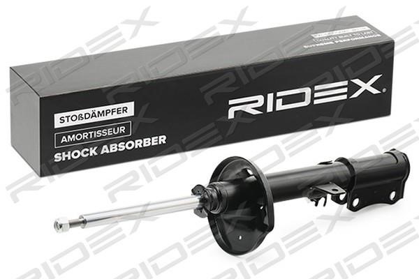 Ridex 854S0746 Suspension shock absorber rear left gas oil 854S0746: Buy near me in Poland at 2407.PL - Good price!