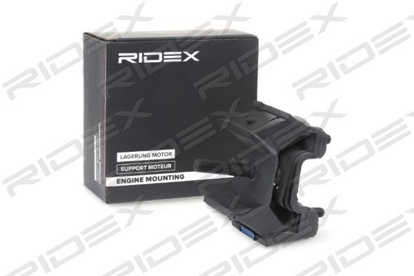 Ridex 247E0277 Engine mount 247E0277: Buy near me in Poland at 2407.PL - Good price!