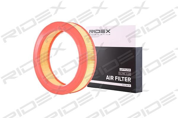 Ridex 8A0203 Воздушный фильтр 8A0203: Отличная цена - Купить в Польше на 2407.PL!