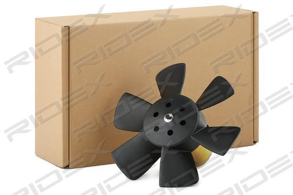 Ridex 508R0096 Hub, engine cooling fan wheel 508R0096: Buy near me in Poland at 2407.PL - Good price!