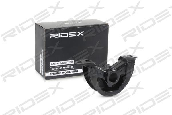 Ridex 247E0244 Poduszka silnika 247E0244: Dobra cena w Polsce na 2407.PL - Kup Teraz!